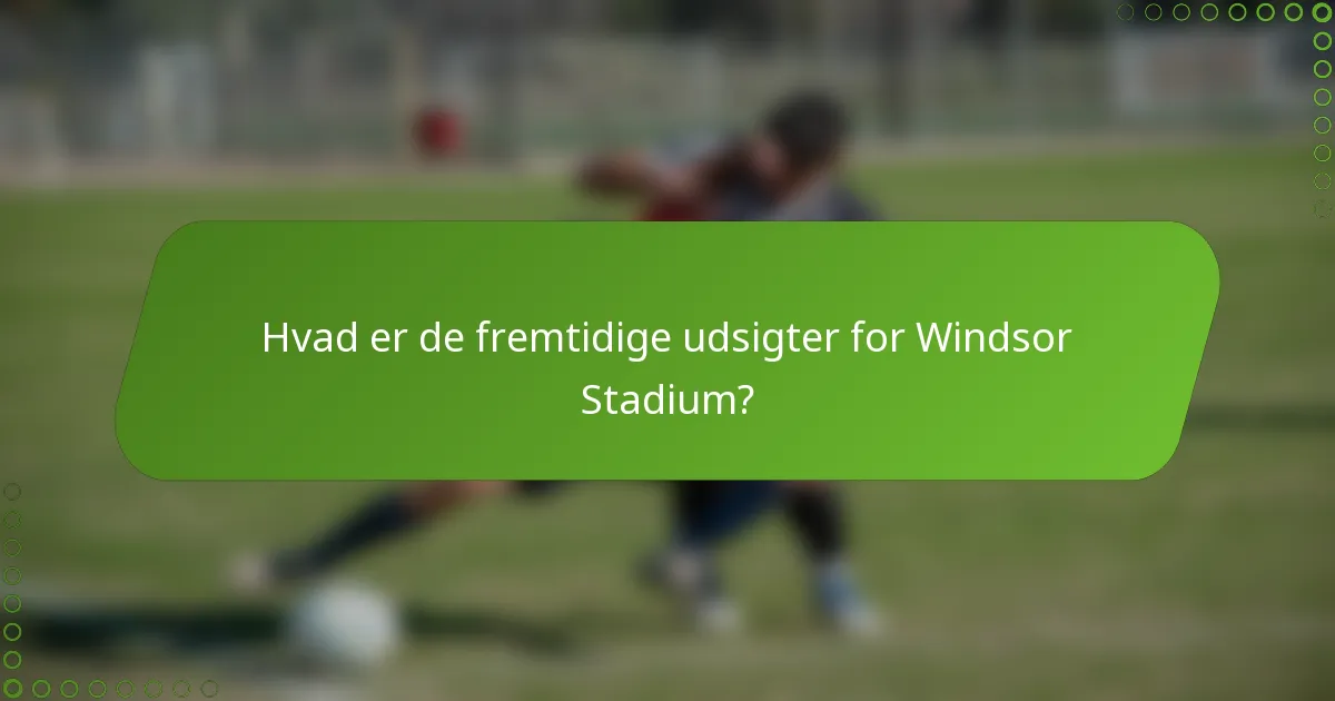 Hvad er de fremtidige udsigter for Windsor Stadium?