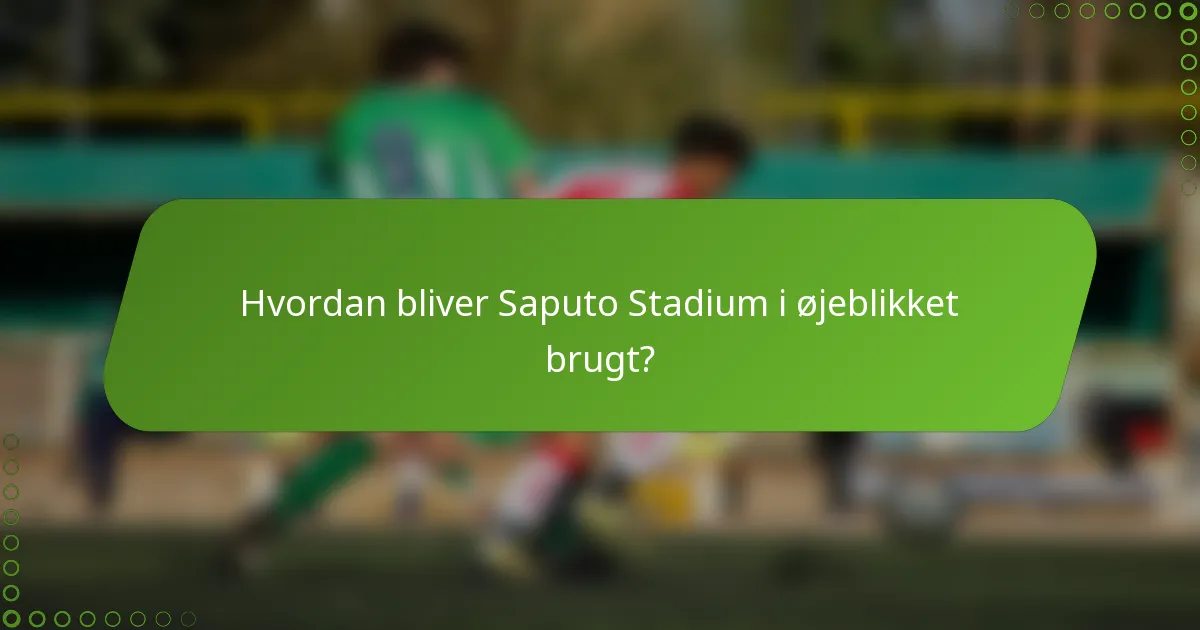 Hvordan bliver Saputo Stadium i øjeblikket brugt?