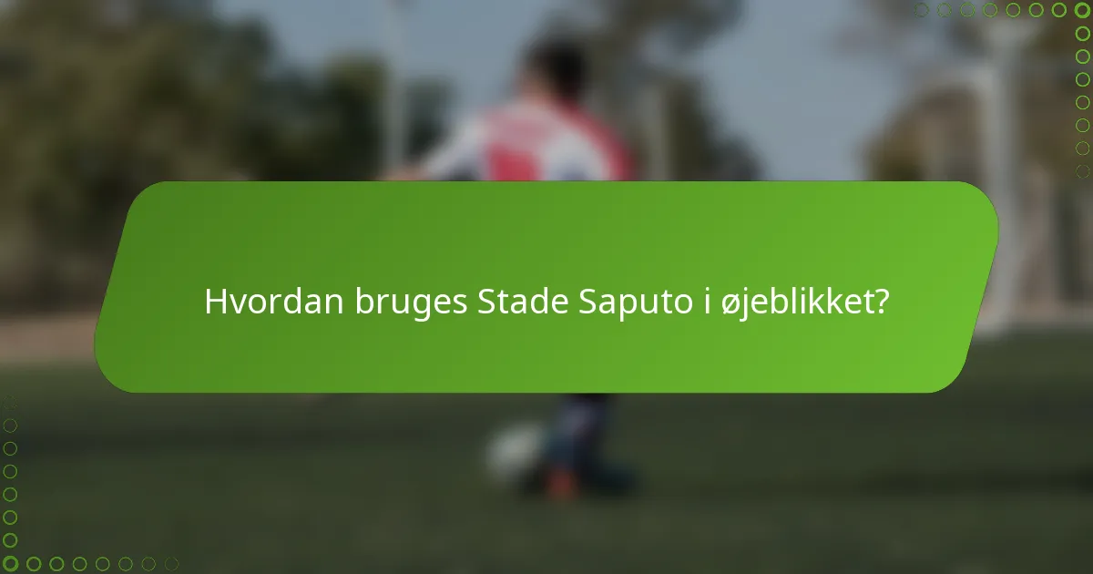 Hvordan bruges Stade Saputo i øjeblikket?